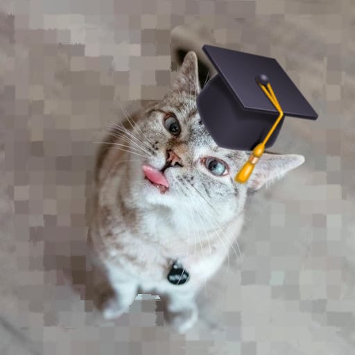 czx_funnyface_with_a_graduation_cap.jpeg